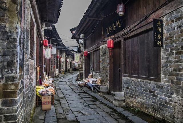 漂亮鹦鹉救援